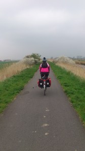 Even with paths like this, we still managed to get lost.