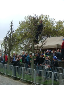 It's not the Ronde without a drunk Belgian up a tree