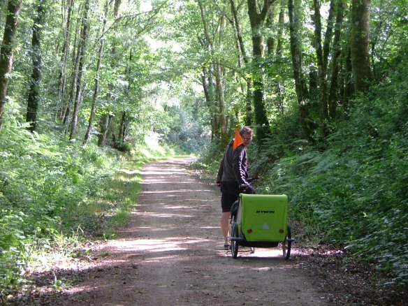 Forêt de Quénécan