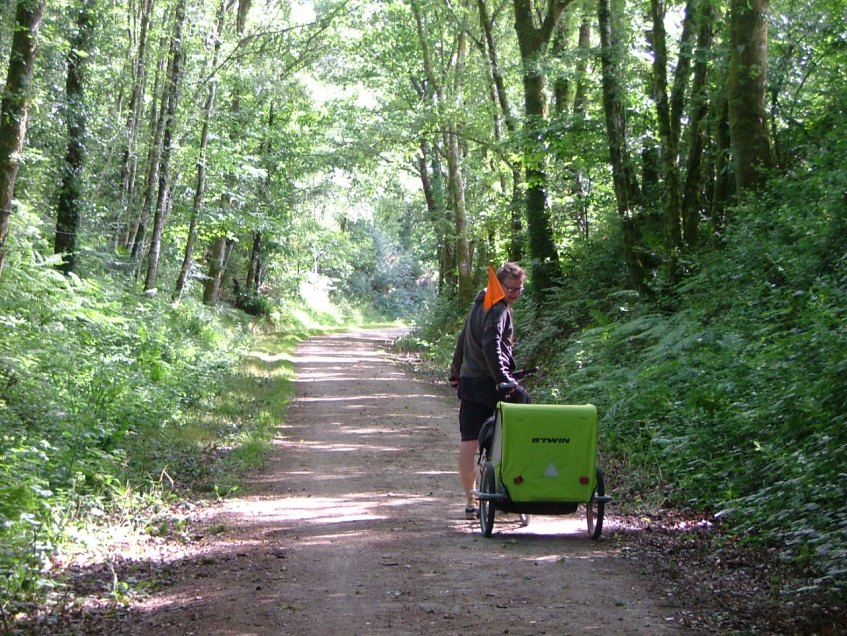 Forêt de Quénécan